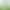 2026 New Tea Hainan Bai Sha Green Tea Bai Sha Black Tea Golden Island First-Grade Green Tea Wuzishan Tea Leaves Free Shipping 250g