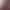 2026 Bride's Toast Dress in Burgundy for Engagement, Wedding, and Homecoming, Autumn and Winter Small Evening Gown Dress That Can Be Worn Casually by Women