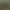 Air Pineapple Old Man's Beard Usnea Air Grass Soilless Plant Green Plant Creative Four-Season Evergreen Indoor Hanging Air Pineapple Old Man's Beard Usnea Air Grass Soilless Plant Green Plant Creative Four-Season Evergreen Indoor Hanging