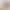 260G Summer Trendy Cotton Shorts FOG Color Solid Color Men's and Women's Loose Casual Pants Summer Shorts