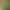 Immortal moss fake moss plant wall landscaping decoration handmade with artificial moss artificial moss moss