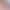 Long-Handled Floor Cleaning Brush with Hard Bristles for Cleaning Bathroom Carpets and Rugs, Water-Repellent, Same Model as on Amazon