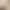 Pregnant women's shorts summer new outer wear belly support leggings Ice Silk thin safety pants lace edge pregnant women's clothing fashion
