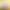 Collagen Tripeptide, Small Molecule Collagen Peptide, Water-Soluble Cosmetic Raw Material Powder Extracted from Deep-Sea Cod