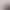 Manufacturer's New Product: Toscana Cashmere, Large Wool Roll Fabric, Toscana Long-Haired Plush Fabric for Clothing, Footwear, and Bags Manufacturer's New Product: Toscana Cashmere, Large Wool Roll Fabric, Toscana Long-Haired Plush Fabric for Clothing, Footwear, and Bags
