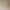 Seamless One-Piece Vest with Square Neck, Wide Shoulder Straps, Elastic Slimming Camisole, Covering Side Breasts, Sleeveless Top for Women, Summer Outerwear