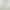 220g Pure Cotton Combed Cotton Solid Color Blank Loose Large Edition Solid Color Short-sleeved T-shirt Women's Summer Fashionable Round Neck Cotton