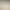 White Shirt Women's Design Niche Tops 2025 Spring & Fall Korean Style Loose Sweatshirt Bf Style Casual Versatile Tops