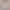 Autumn and Winter Golden Velvet Camisole Lace Inner Beautiful Back Warm Top Base French Sexy Vest for Women