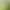 Agricultural Greenhouse Atomizing Sprinkler Head for Watering Fields and Vegetables, Garden Irrigation Sprinkler, Gardening Seedling Watering Pump Accessories, High Pressure