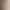 2026 Spring and Autumn New French Court Style Embroidered Lace Stand Collar Lantern Sleeve White Cotton Long Sleeve Shirt