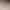 [Versatile Four-Leaf Clover Limited] 2025 New Autum High-End Versatile Sports Ballet Thin-Soled Moral Training Shoes for Women