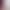 Purple Quick-Dry Curved Hem Pants for Women 2026 New Casual Pants Ice Silk Wide-Leg Pants Milk Leather Pants Summer Thin Long Pants Purple Quick-Dry Curved Hem Pants for Women 2026 New Casual Pants Ice Silk Wide-Leg Pants Milk Leather Pants Summer Thin Long Pants