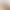 New Polaroid Color-Changing Anti-Blue Light Glasses, Plain Pc Glasses Frame, European and American Style Flat Glasses, Cat-Eye Style Women's Prescription Glasses