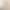 Beech Wood Clothes Brush for Household Cleaning, Garment Care, Fabric Sofa Lint Removal, Bed Sheet Dust Removal, Solid Wood Brush Beech Wood Clothes Brush for Household Cleaning, Garment Care, Fabric Sofa Lint Removal, Bed Sheet Dust Removal, Solid Wood Brush