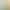 High-End Foreign Trade Green Cross-Border Wedding Dress 2026 New Slim-Fit Retro Forest Style Colorful Tulle Dress Wholesale High-End Foreign Trade Green Cross-Border Wedding Dress 2026 New Slim-Fit Retro Forest Style Colorful Tulle Dress Wholesale