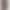 Fifty and Standing "Fragrant Hot Chic" Ultra-Fine All-Wool Lamb Wool Stand-Up Collar Short Fur Winter New