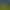 World Cup Football Screaming Chicken Quacking Chicken Funny Gift Squeeze Football Screaming Chicken Prank Dog Toy World Cup Football Screaming Chicken Quacking Chicken Funny Gift Squeeze Football Screaming Chicken Prank Dog Toy