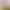 Coc Famous Model Half-Body Mold Male Masturbation Cup Adult Products Sex Toy Realistic Doll