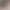 Brand Autumn and Winter High-End Versatile Shorts for Women, Korean Style Sheepskin High-Waisted Slim Fit Petite Fashion Versatile Leather Pants Brand Autumn and Winter High-End Versatile Shorts for Women, Korean Style Sheepskin High-Waisted Slim Fit Petite Fashion Versatile Leather Pants