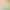 Developmental Girls Underwear Summer Ice Silk Seamless Lightweight Breathable Thin Vest Junior High School Students Girls Bra Developmental Girls Underwear Summer Ice Silk Seamless Lightweight Breathable Thin Vest Junior High School Students Girls Bra