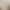 Retro Maillard Long Brown Ring Pendant Necklace Women's High-End Light Luxury Niche Sweater Chain Accessories Wholesale