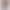Yoga Pants with Peach Butt Effect, Seamless, High-Waisted, Premium Feel, Outdoor Sports Pants for Women, Suitable for Running and Fitness
