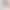 Candy-Colored Solid Color Denim Shorts for Women 2026 Summer New High-Waisted Slimming Straight-Leg Knee-Length Wide-Leg Pants Candy-Colored Solid Color Denim Shorts for Women 2026 Summer New High-Waisted Slimming Straight-Leg Knee-Length Wide-Leg Pants