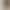 Light-Colored Flared Jeans for Women, 2026 New Summer Style, High-Waisted, Non-Tight, Drapey Bell-Bottom Pants