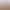 In-Stock Madison Faux Wool Fabric 25mm Brushed Cashmere Fabric for Clothing, Children's Clothing, Toys, Hats, and Shoes