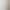 Norman's in-stock high-intelligence girlfriend style pure and sexy hollow lace patchwork slim-fit waist-cinching slimming shirt top