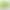 Simulation Willow rattan plant plastic leaf fake flower indoor living room wall hanging ceiling hanging green plant decorative weeping willow Simulation Willow rattan plant plastic leaf fake flower indoor living room wall hanging ceiling hanging green plant decorative weeping willow