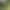 Collarbone-Exposing Slim Green Commuter Top 2026 Early Spring/Summer New Style Slimming Mid-Sleeve Inner Wear Women's T-Shirt Trendy Collarbone-Exposing Slim Green Commuter Top 2026 Early Spring/Summer New Style Slimming Mid-Sleeve Inner Wear Women's T-Shirt Trendy