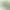 Artificial Monstera Leaves with Realistic Texture, Glued-On Leaves for Plant Wall Decorations, Landscaping, and Floral Arrangements Artificial Monstera Leaves with Realistic Texture, Glued-On Leaves for Plant Wall Decorations, Landscaping, and Floral Arrangements