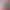 Single Piece Spiral Blade Forming Machine Spiral Blade Cold Rolling Machine Spiral Blade Equipment Auger Blade Machine Single Piece Spiral Blade Forming Machine Spiral Blade Cold Rolling Machine Spiral Blade Equipment Auger Blade Machine