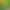 Household Double-sided Yellow Board Sticky Insect Board Balcony Vegetable Planting Green Plant Small Black Flying Drosophila Trap