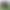 2026 New Tea Shaan Qing Shaanxi Green Tea Xixiang Fried Green Tea Green Tea Bulk Wholesale【Gold 3】 2026 New Tea Shaan Qing Shaanxi Green Tea Xixiang Fried Green Tea Green Tea Bulk Wholesale【Gold 3】