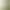 Mantle Mantle dark green Mori Mantle Mantle Outdoor Lawn Wedding Chair Arrangement Background Decorative Mantle