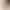 Tall Women's Coffee-Colored Silk Stockings 2026 New Spring/Summer Extended Length High-End Anti-Snag Slimming Leggings