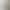 Real Shot of the Wizard of oz Olive Green Patch Lace Camisole 2026 Summer New Style Pure Desire Elastic Tank Top