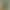Bm Style Spicy Girl Style Green Lace Camisole for Women, Summer Slim Fit Sexy Inner Wear Top That Enhances Complexion