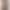 Lamb Wool Casual Shorts for Women, Autumn and Winter 2026 New Versatile Outerwear, Elastic Waist, Slimming, Loose, Stylish Pants