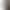 Women's Belt New Korean Fashion Casual Jeans Versatile Student Korean Version in Stock Wholesale Dropshipping