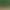Cross-border Zircon Pearl Earrings 12 Pair Combination suit Student Affordable Earrings Simple Fashion Unisex Earrings