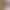 Carefully Selected Modal Halterneck Camisole for Women, Summer Sexy Hot Girl Inner Wear with Breast Pads and Outer Wear Design Top