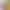 Glitter Paper Glitter A4 Cardboard Does Not Shed Powder Gold Powder Paper Mixed Color Wholesale Kindergarten DIY Handmade Material Glitter Paper Glitter Paper Glitter A4 Cardboard Does Not Shed Powder Gold Powder Paper Mixed Color Wholesale Kindergarten DIY Handmade Material Glitter Paper