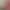 Silicone Rubber Band Rod with Multiple Holes and Large Cap for Fishing Bait Pellets, Suitable for Hooking Large Fish Like Black Carp Silicone Rubber Band Rod with Multiple Holes and Large Cap for Fishing Bait Pellets, Suitable for Hooking Large Fish Like Black Carp