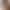 Cross-Border Tiktok European and American Live-Stream Influencer Sunglasses Candy-Colored Small Frame High-End Stylish Glasses Leopard Print Sunglasses