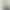 Unique and beautiful white round-neck sleeveless camisole for women, suitable for summer, slim-fit, versatile, short style with a beautiful back design