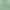 St. Patrick's Day Themed Party Tableware Green Clover Disposable Tablecloth Hat Paper Plate Tissue Supplies